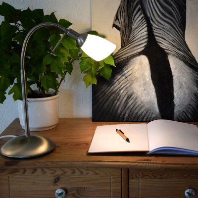 Shielded light shower as table lamp | handmade opal glass | 68 cm extended